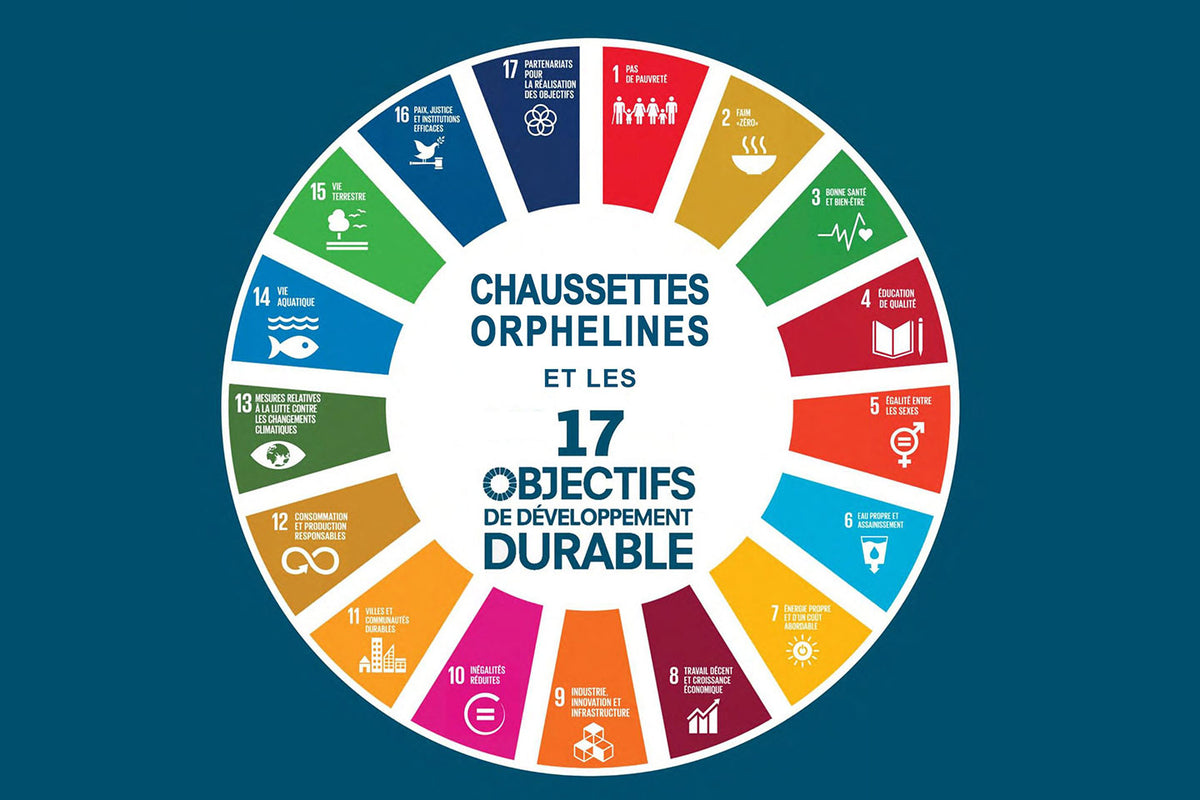 17 objectifs de développement durable